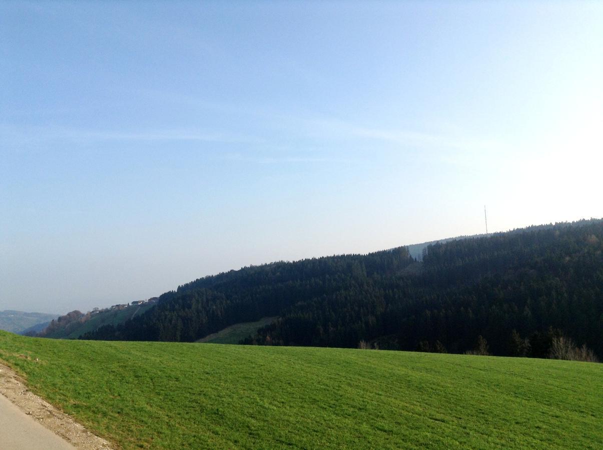 Hotel Alpenblick Kirchschlag bei Linz 外观 照片